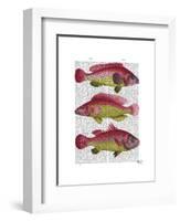 Red and Yellow Fantasy Fish Trio-Fab Funky-Framed Art Print