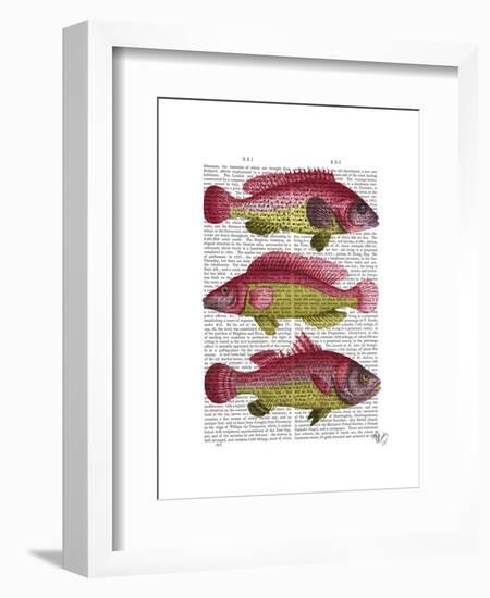 Red and Yellow Fantasy Fish Trio-Fab Funky-Framed Art Print