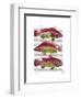 Red and Yellow Fantasy Fish Trio-Fab Funky-Framed Art Print