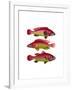 Red and Yellow Fantasy Fish Trio-Fab Funky-Framed Art Print