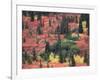 Red and Yellow Foliage of Denali National Park, Alaska, USA-Charles Sleicher-Framed Photographic Print