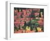 Red and Yellow Foliage of Denali National Park, Alaska, USA-Charles Sleicher-Framed Photographic Print