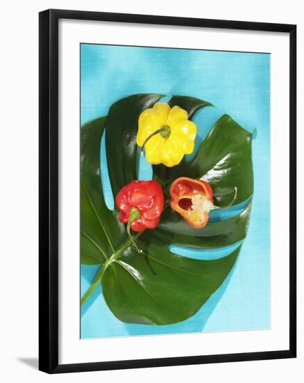 Red and Yellow Habanero Chillies-Armin Zogbaum-Framed Photographic Print