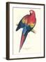 Red and Yellow Macaw - Ara Macao-Edward Lear-Framed Art Print