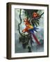 Red and Yellow Macaws-Harro Maass-Framed Giclee Print