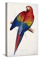 Red and Yellow Maccaw-Edward Lear-Stretched Canvas