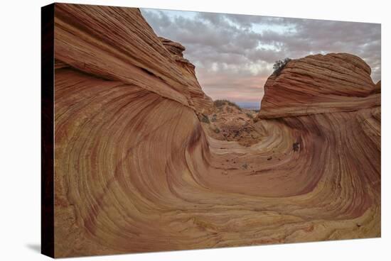 Red and Yellow Sandstone Wave Channel-James Hager-Stretched Canvas