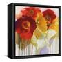 Red and Yellow Sensations-Shirley Novak-Framed Stretched Canvas
