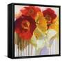 Red and Yellow Sensations-Shirley Novak-Framed Stretched Canvas