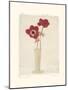 Red Anemones II-Amy Melious-Mounted Art Print