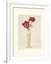 Red Anemones II-Amy Melious-Framed Art Print