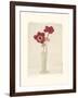 Red Anemones II-Amy Melious-Framed Art Print