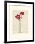 Red Anemones II-Amy Melious-Framed Art Print