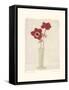 Red Anemones II-Amy Melious-Framed Stretched Canvas