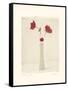 Red Anemones III-Amy Melious-Framed Stretched Canvas