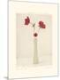 Red Anemones III-Amy Melious-Mounted Art Print