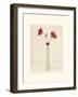 Red Anemones III-Amy Melious-Framed Art Print