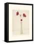 Red Anemones III-Amy Melious-Framed Stretched Canvas