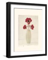 Red Anemones IV-Amy Melious-Framed Art Print