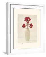 Red Anemones IV-Amy Melious-Framed Art Print