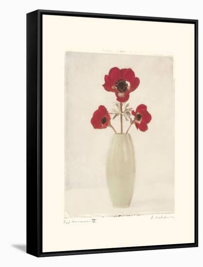 Red Anemones IV-Amy Melious-Framed Stretched Canvas