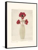 Red Anemones IV-Amy Melious-Framed Stretched Canvas