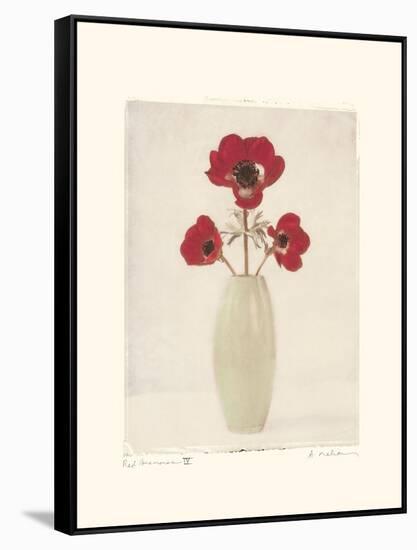 Red Anemones IV-Amy Melious-Framed Stretched Canvas