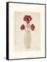 Red Anemones IV-Amy Melious-Framed Stretched Canvas