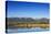 Red Angus Beef Cattle Graze in Pasture, Mission Valley, Montana, Usa-Chuck Haney-Stretched Canvas