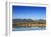 Red Angus Beef Cattle Graze in Pasture, Mission Valley, Montana, Usa-Chuck Haney-Framed Photographic Print