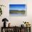 Red Angus Beef Cattle Graze in Pasture, Mission Valley, Montana, Usa-Chuck Haney-Framed Photographic Print displayed on a wall