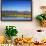 Red Angus Beef Cattle Graze in Pasture, Mission Valley, Montana, Usa-Chuck Haney-Framed Photographic Print displayed on a wall