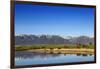 Red Angus Beef Cattle Graze in Pasture, Mission Valley, Montana, Usa-Chuck Haney-Framed Photographic Print