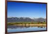 Red Angus Beef Cattle Graze in Pasture, Mission Valley, Montana, Usa-Chuck Haney-Framed Photographic Print