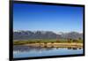 Red Angus Beef Cattle Graze in Pasture, Mission Valley, Montana, Usa-Chuck Haney-Framed Photographic Print