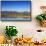 Red Angus Beef Cattle Graze in Pasture, Mission Valley, Montana, Usa-Chuck Haney-Framed Stretched Canvas displayed on a wall