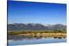 Red Angus Beef Cattle Graze in Pasture, Mission Valley, Montana, Usa-Chuck Haney-Stretched Canvas