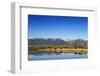 Red Angus Beef Cattle Graze in Pasture, Mission Valley, Montana, Usa-Chuck Haney-Framed Photographic Print