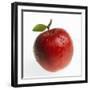 Red Apple (Jonagold) with Leaf and Drops of Water-Kai Schwabe-Framed Photographic Print