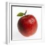 Red Apple (Jonagold) with Leaf and Drops of Water-Kai Schwabe-Framed Photographic Print