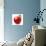 Red Apple on White Background-Alex Staroseltsev-Photographic Print displayed on a wall