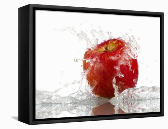 Red Apple with Splashing Water-Michael Löffler-Framed Stretched Canvas