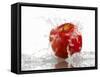 Red Apple with Splashing Water-Michael Löffler-Framed Stretched Canvas