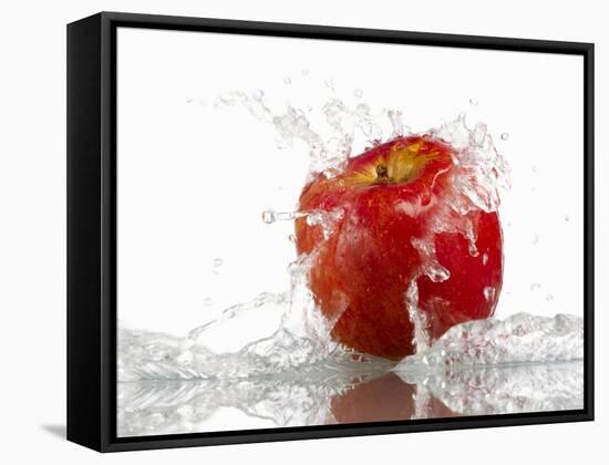 Red Apple with Splashing Water-Michael Löffler-Framed Stretched Canvas
