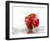 Red Apple with Splashing Water-Michael Löffler-Framed Photographic Print