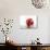 Red Apple with Splashing Water-Michael Löffler-Photographic Print displayed on a wall