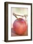 Red Apple with Stalk-Foodcollection-Framed Photographic Print