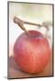 Red Apple with Stalk-Foodcollection-Mounted Photographic Print