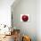 Red Apple-null-Photographic Print displayed on a wall