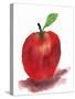 Red Apple-Wolf Heart Illustrations-Stretched Canvas